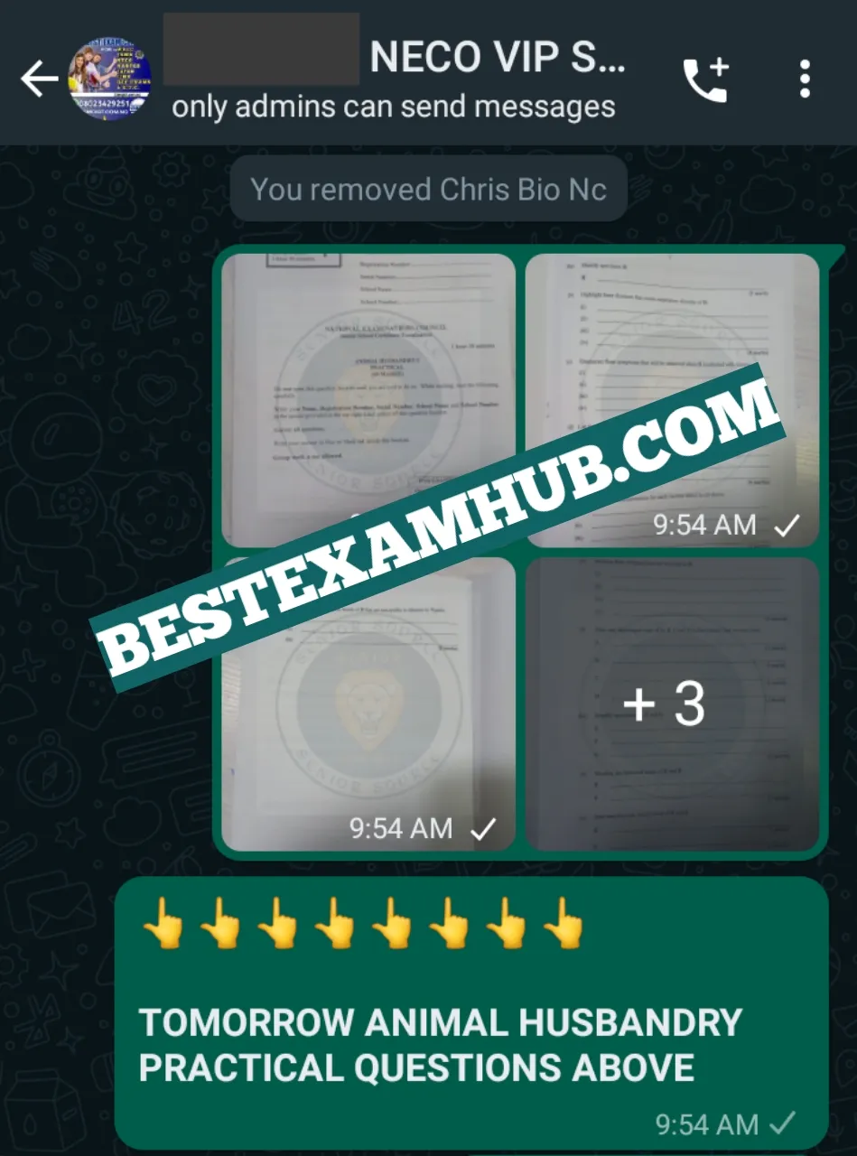 BEST Site for NECO Expo 2025 | NECO Runz 2025